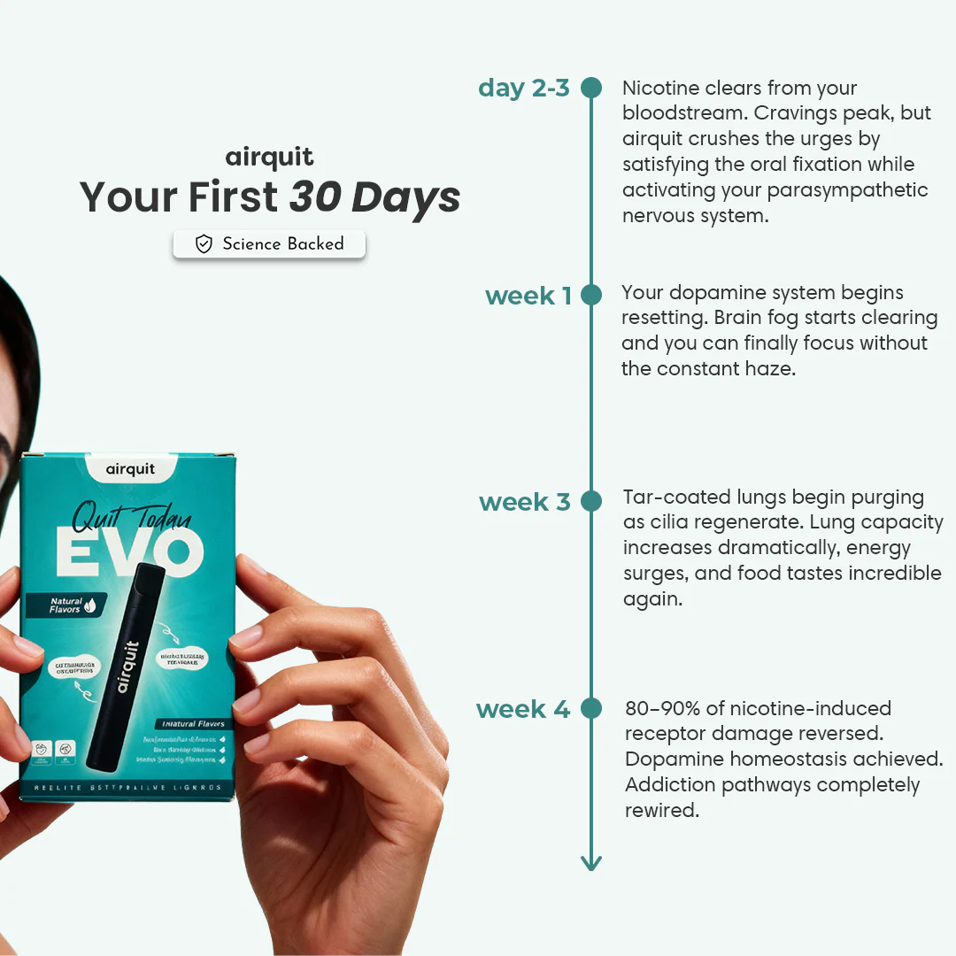 Starter Pack - Image 5